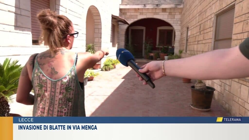Lecce, invasione di blatte in via Menga