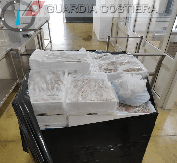Scoperti 300 kg di pesce senza tracciabilità: scattano sequestri e sanzioni