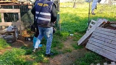 Carcasse e ossa di cani ritrovate in una proprietà privata: scatta la denuncia contro ignoti