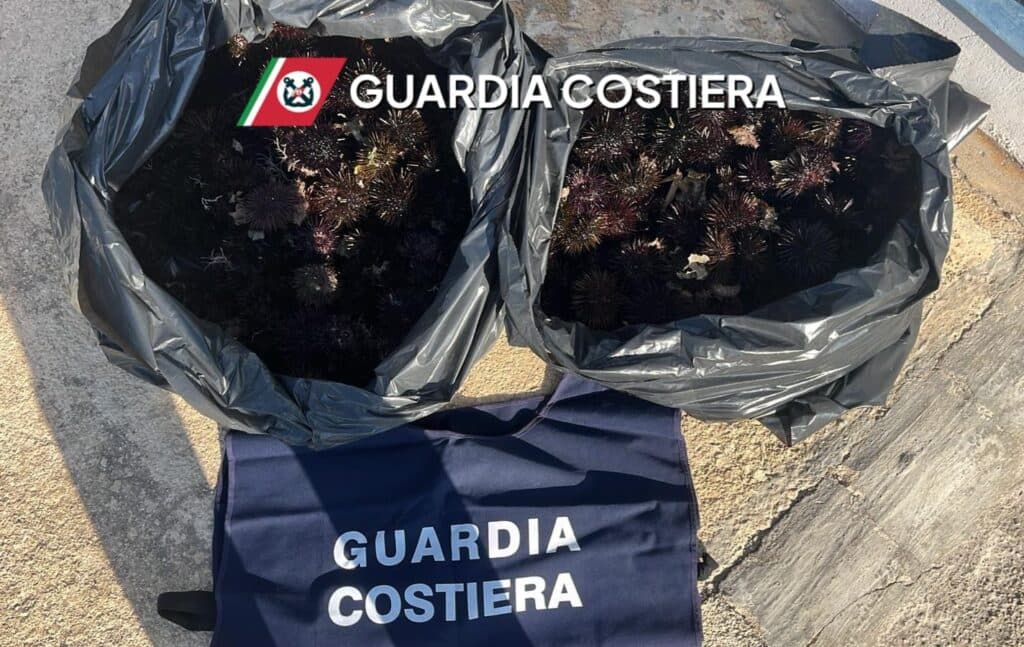 Rigettati in mare 350 ricci di mare, sanzionato pescatore
