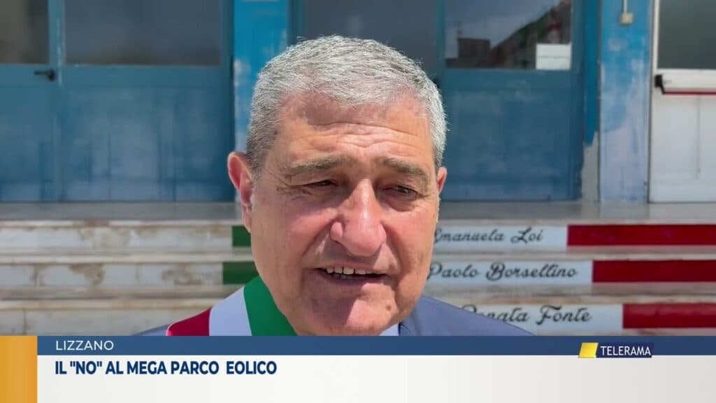Lizzano, "no" all'eolico tra i vigneti del primitivo