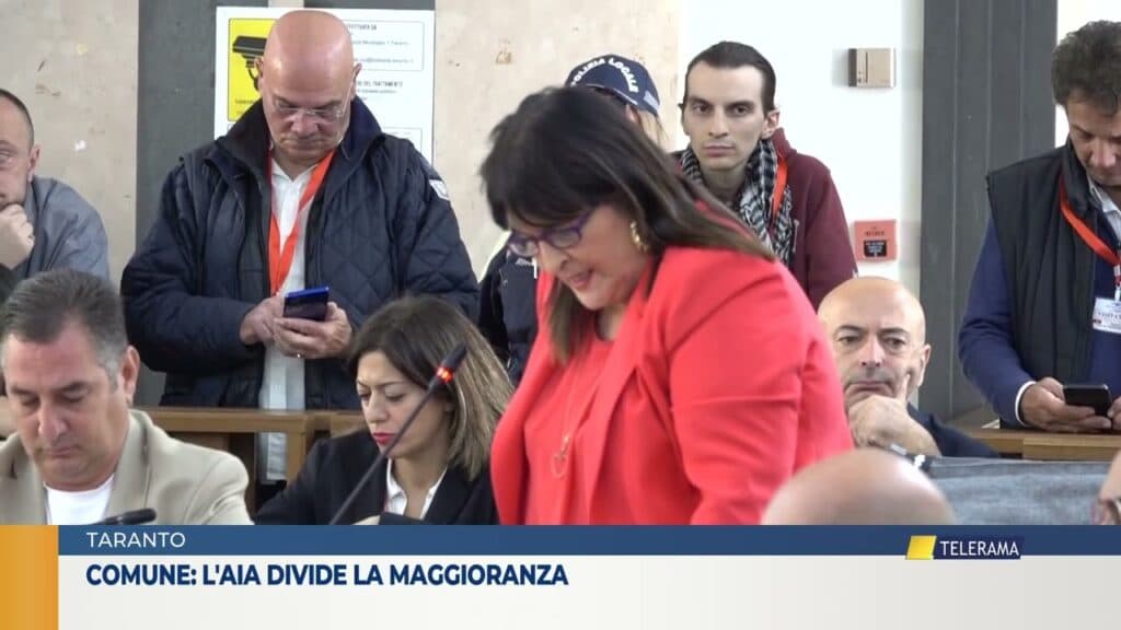 L'ex Ilva divide: in consiglio comunale l'evidenza