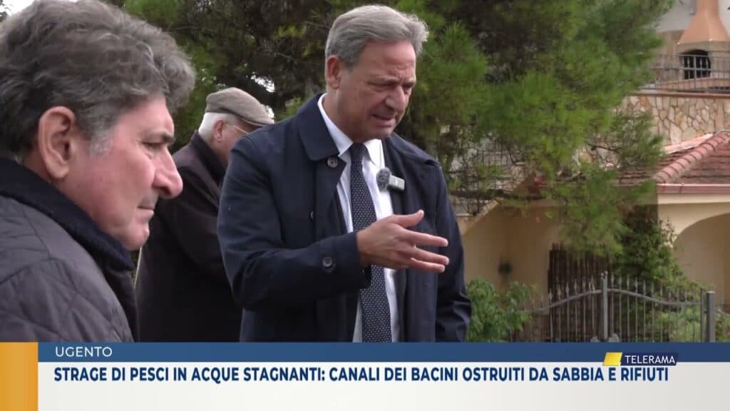 Strage di pesci in acque stagnanti: canali dei bacini ostruiti da sabbia e rifiuti