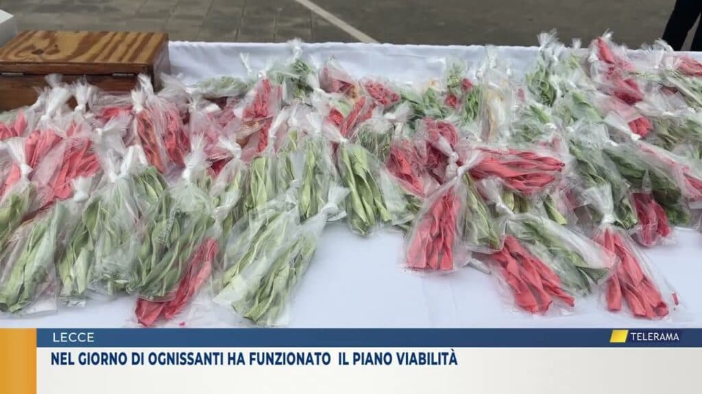 Lecce, nel giorno di Ognissanti ha funzionato  il piano viabilità