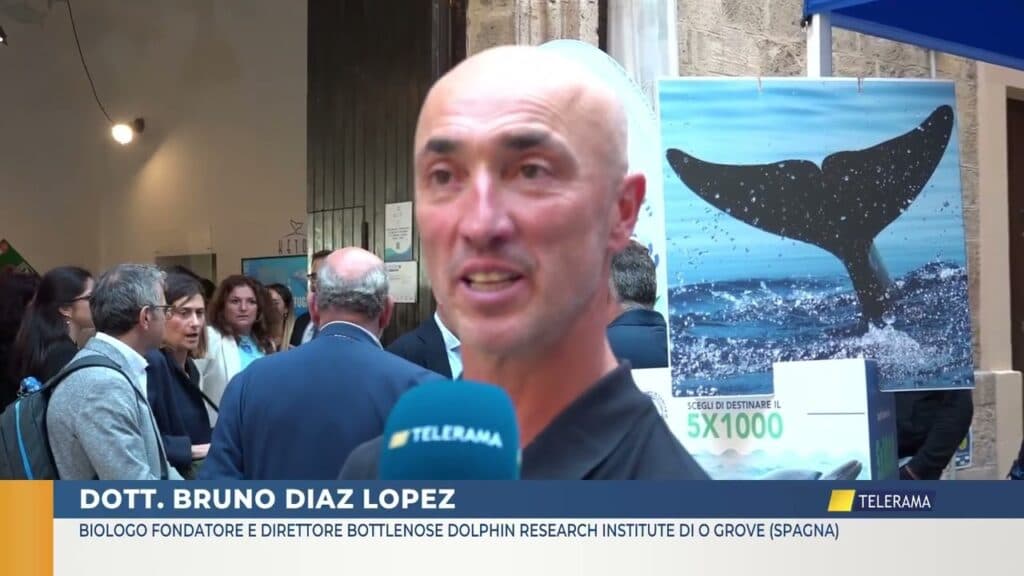 Taranto, isola di San Paolo: in attività il rifugio per i cetacei