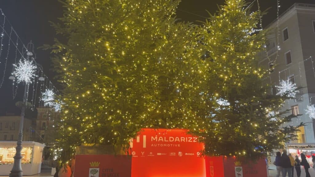 Auguri e promesse sotto l'albero di Natale donato alla città da Maldarizzi Automotive