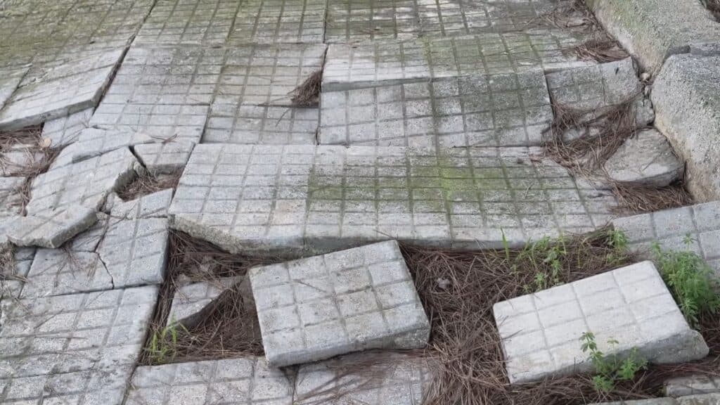 In via Siracusa, a Lecce, marciapiedi e tronchi d'albero: trappole per i pedoni
