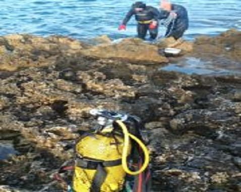 Pesca ricci di mare in area protetta: multa di 2mila euro e denuncia per un 35enne