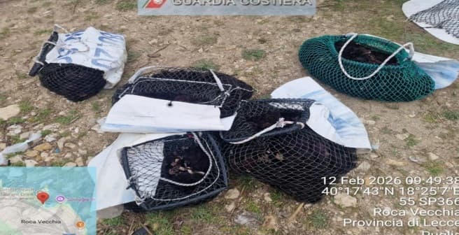 Otranto e Melendugno, la Guardia Costiera intensifica i controlli contro la pesca illegale