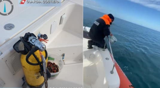 Controlli su filiera ittica: 25mila euro di multe e 100 kg di pesce sequestrato