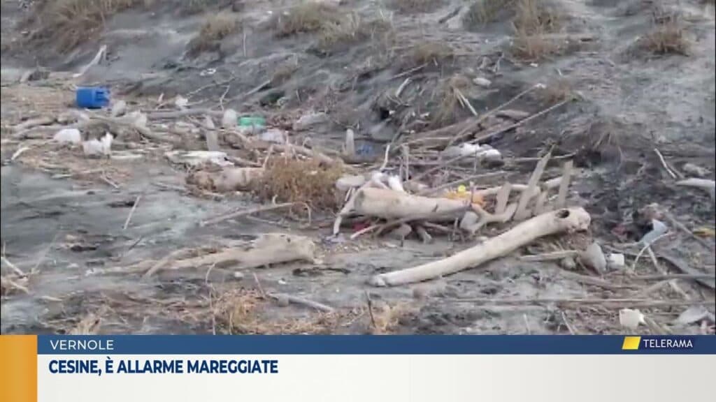 Cesine, è allarme mareggiate