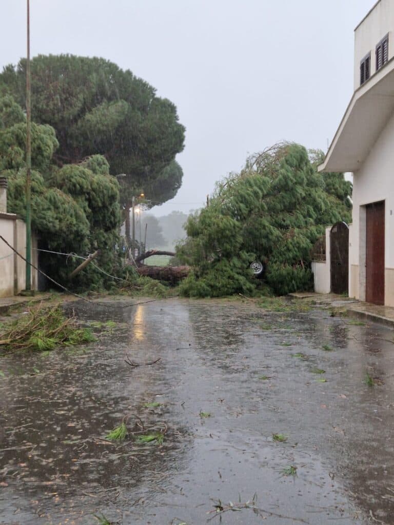 Tempesta di scirocco sul Salento, abbattuti alberi e muri. Oltre cento gli interventi delle squadre di soccorso