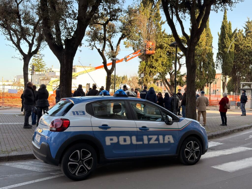 Nardò, proteste all’alba contro l’abbattimento dei cipressi dell’ex scuola del Primo Nucleo