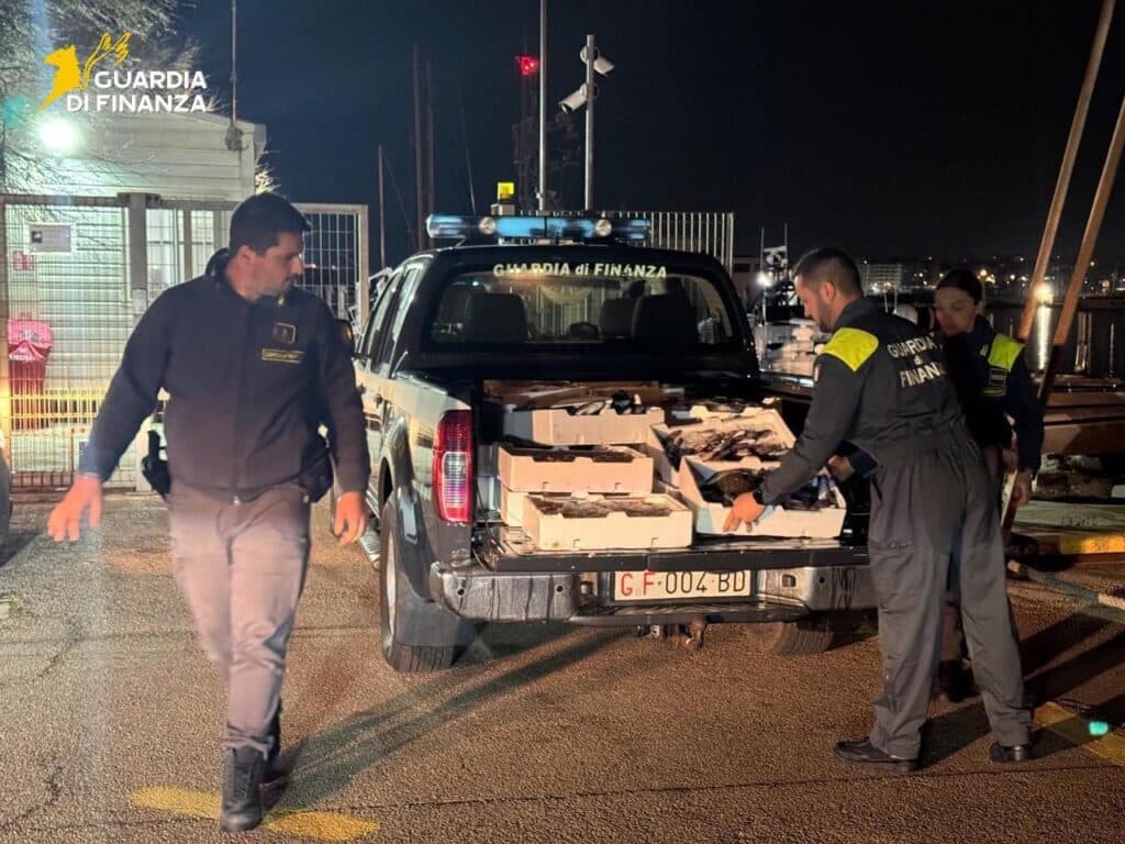 Gallipoli, sequestrati 115 kg di pescato privo di tracciabilità: donato in beneficenza