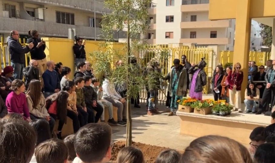 Un Baobab per Ibram: la memoria che mette radici