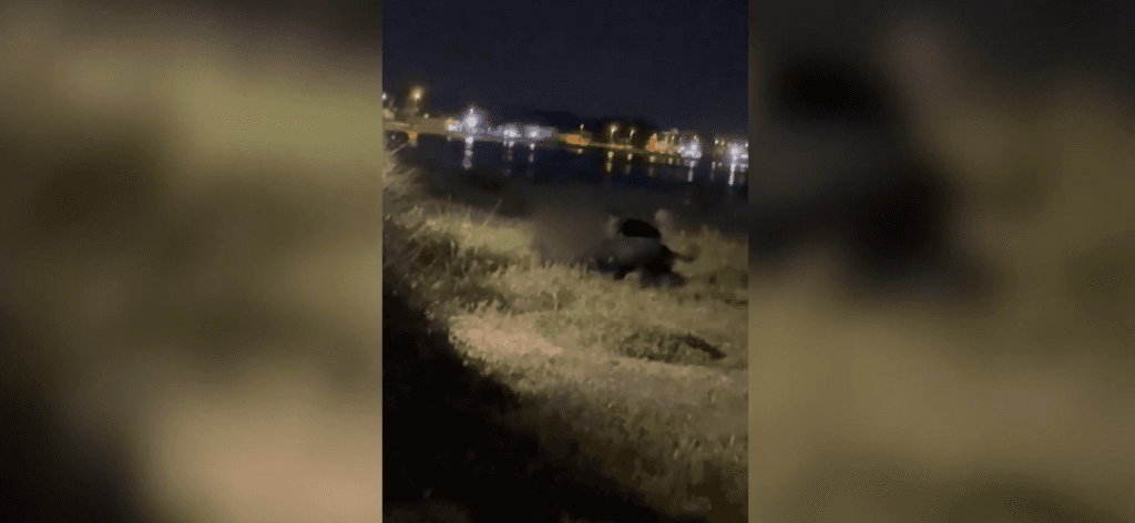 Porto Cesareo, 12enne prima sbranata da rottweiler, poi le minacce choc sui social durante l’intervento