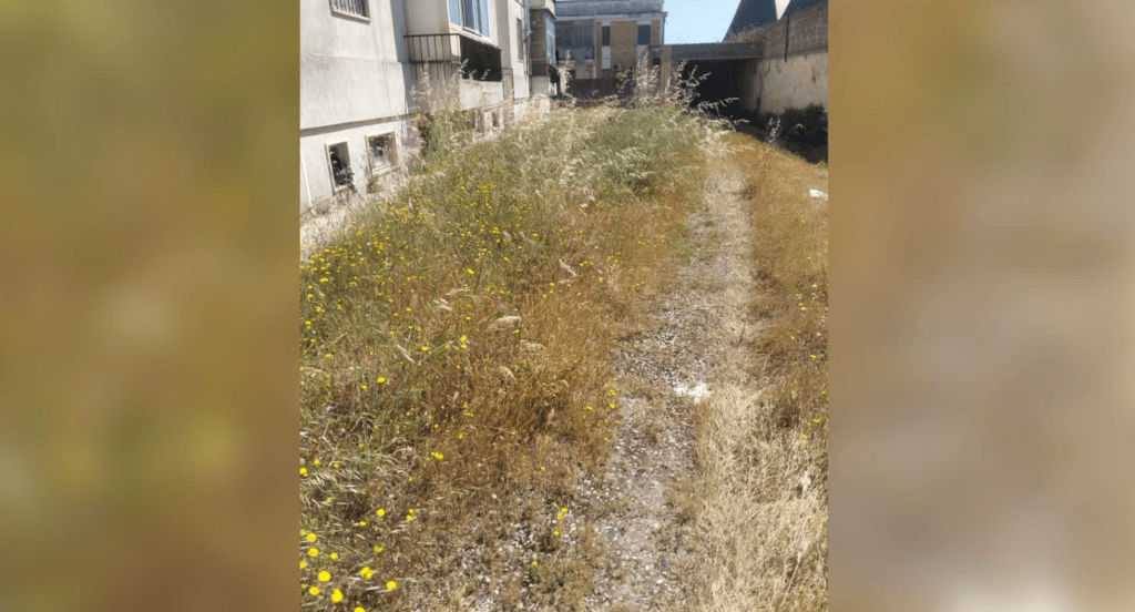 Degrado in via Respighi: “Erba oltre i balconi e sporcizia ovunque”