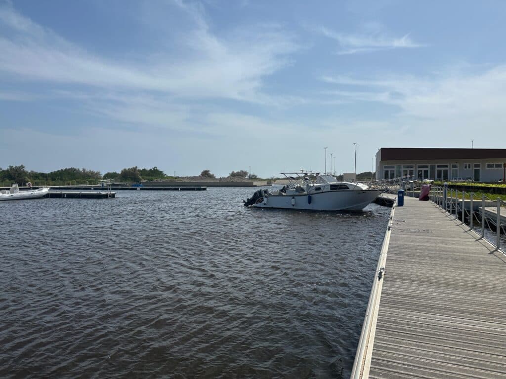Diportisti ostaggio delle alghe: la darsena di San Cataldo rimane senza gestori