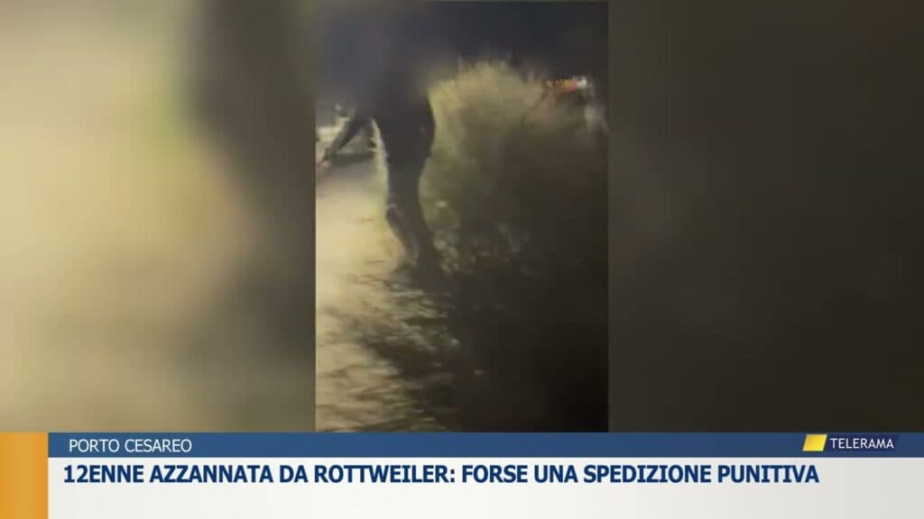 Porto Cesareo, 12enne azzannata da un rottweiler: un video apre alla pista della spedizione punitiva