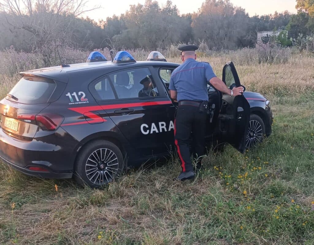 Malore fatale in azienda, muore imprenditore agricolo
