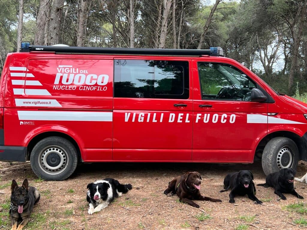 Si perde nelle campagne di Collepasso, ritrovato dopo ore grazie ai cani dei Vigili del Fuoco