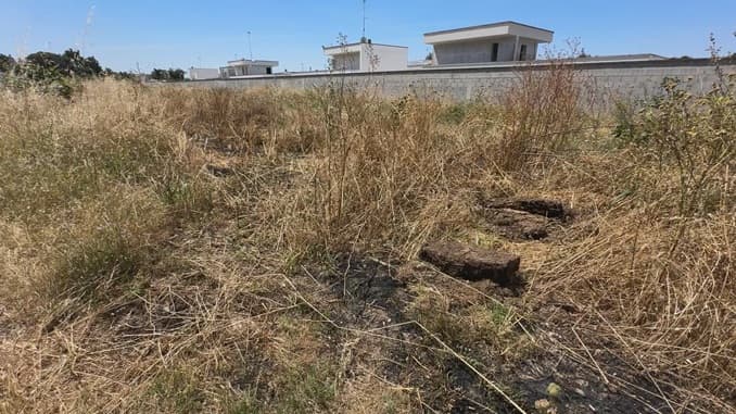 Un campo invaso da sterpaglie a rischio incendi: "Temiamo per la nostra incolumità"