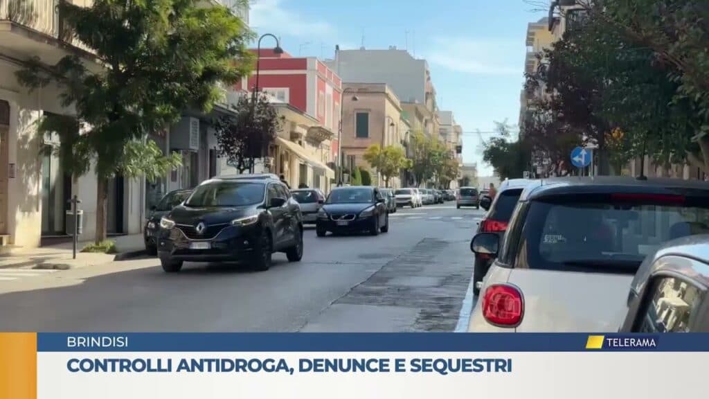 Controlli antidroga, denunce e sequestri nel Brindisino