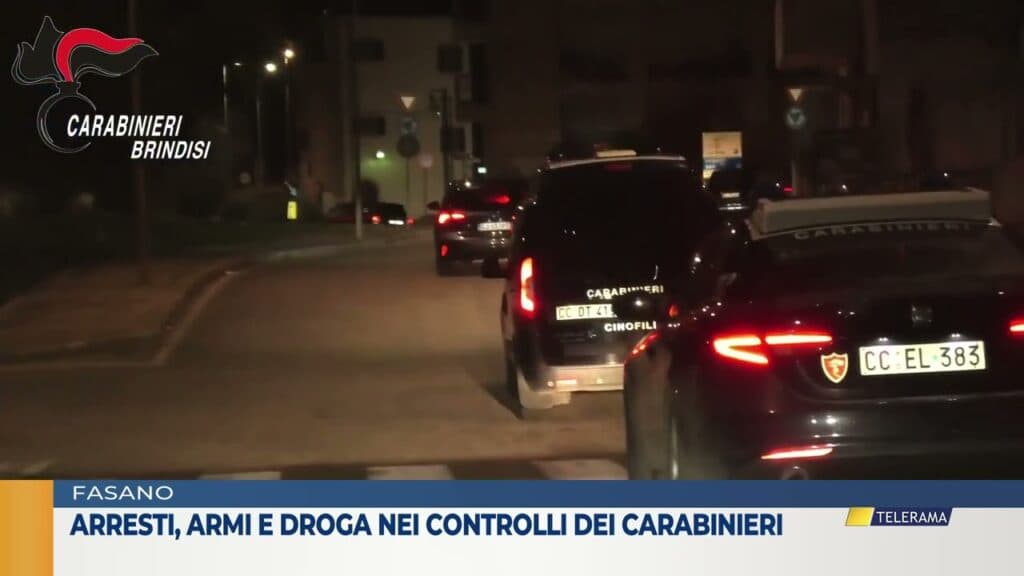 Arresti, armi e droga nei controlli dei Carabinieri