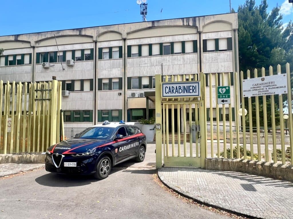 Operazione “Pegaso”, otto condanne per traffico di droga aggravato dal metodo mafioso