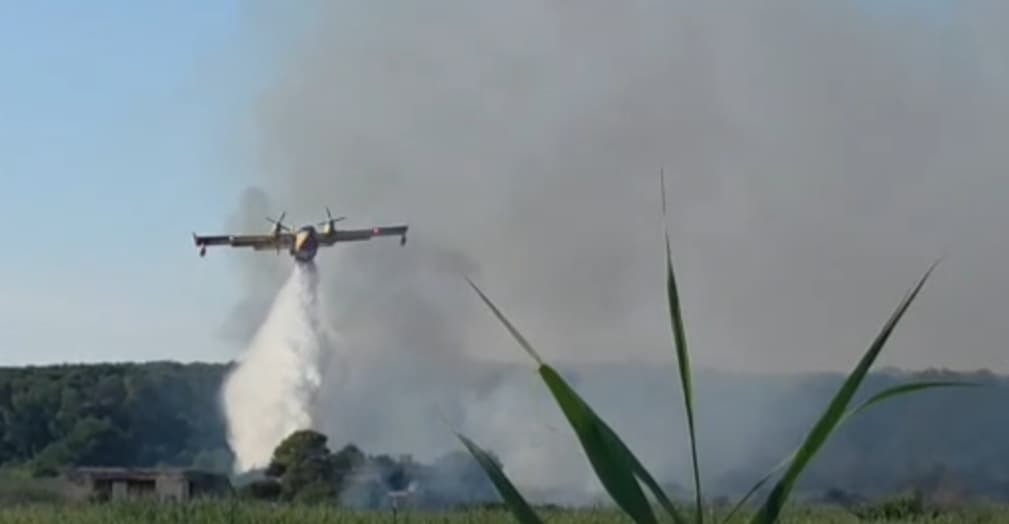 Bosco d'Arneo, 50 ettari in fumo: è già allarme incendi