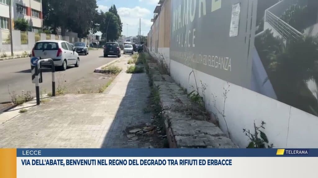 Via Dell'Abate, Benvenuti nel regno del degrado tra rifiuti ed erbacce