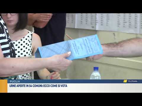 Urne aperte in 54 comuni: ecco come si vota