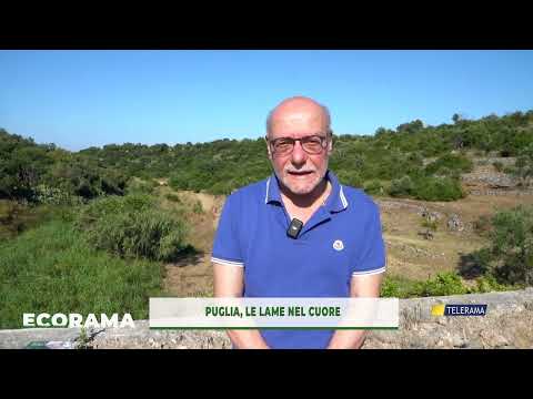 ECORAMA 29 MAGGIO 2026