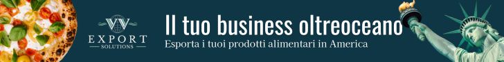 vv export solutions