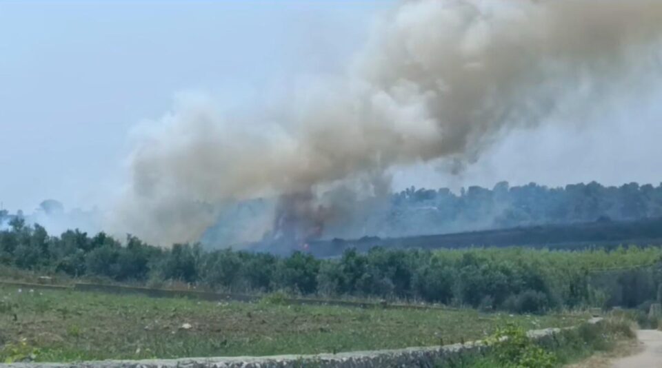 Vasto incendio tra Torre Pali e Pescoluse: evacuate abitazioni
