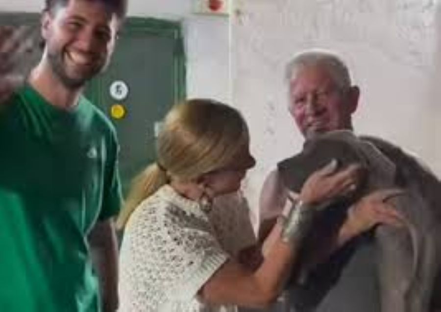 Giorgia Meloni accarezza cane corso