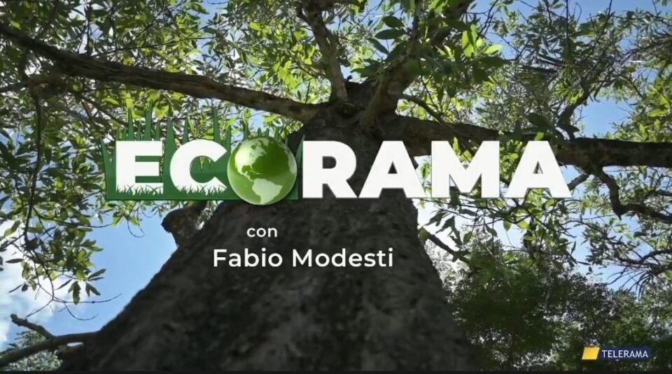 Ecorama puntata 8 novembre