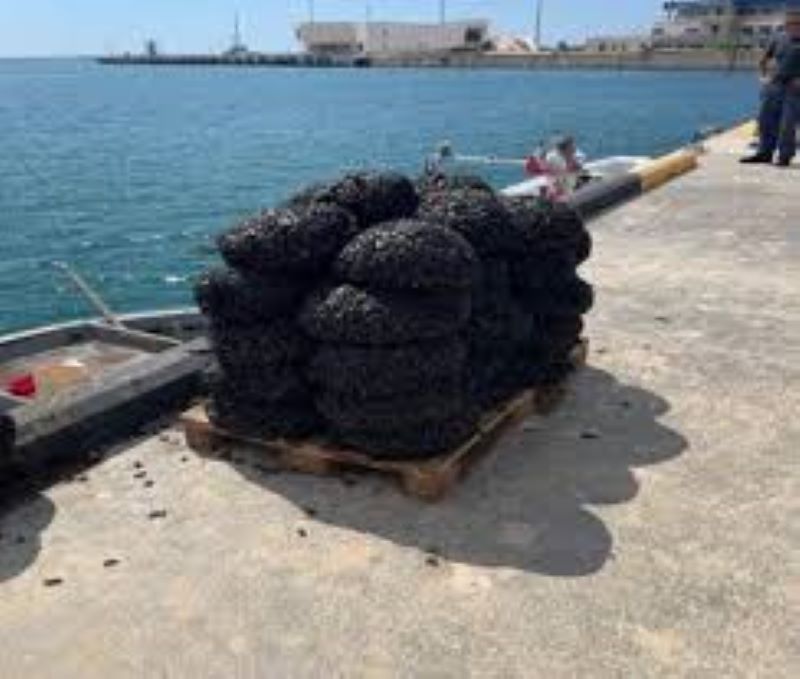 sequestro guardia costiera